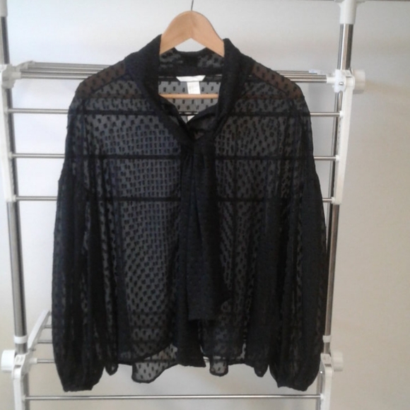 H&M Tops - H&M sheer black flouncy sleeved button up blouse